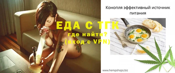 шишки Болотное