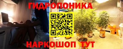 mix Кунгур