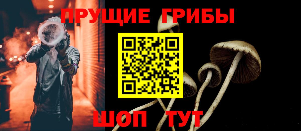 Уссурийск  где купить наркоту  Вход с VPN  Псилоцибиновые грибы мухоморы 